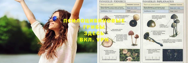 Альфа ПВП Баксан