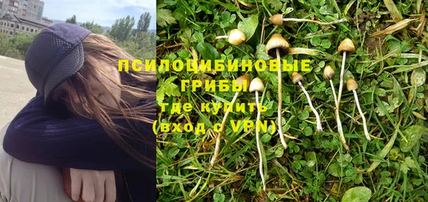 эйфоретик Балахна